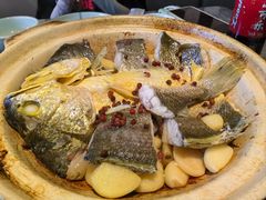 -1937青岛老味道·海肠捞饭·青岛菜(大鲍岛栈桥店)