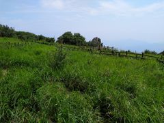 -白草畔自然风景区