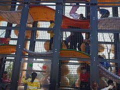 -枫香湖儿童公园