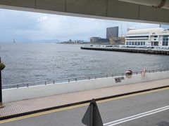 -海港城