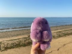 -烟台金沙滩海滨公园