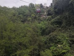 -青城山
