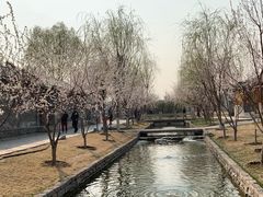 -春风习习