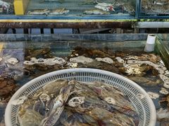 -韩家墅海吉星农产品批发市场