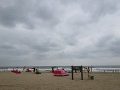-东海岛旅游度假区