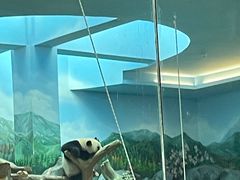 -武汉动物园