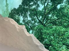 -极简口腔(总院)