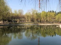 -清凉寺