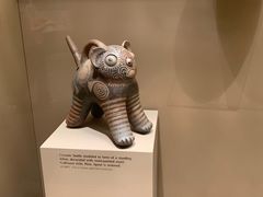 -美国自然历史博物馆