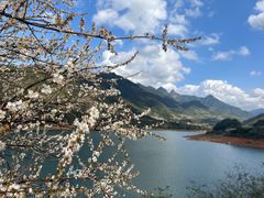 -广州市流溪河国家森林公园