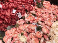 -宜家·瑞典风味餐厅(无锡店)