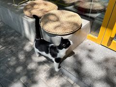-五进制 Coffee Shop