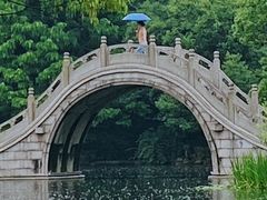 -南园(太仓市)
