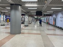 -大望路(地铁站)