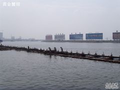 -海河外滩公园