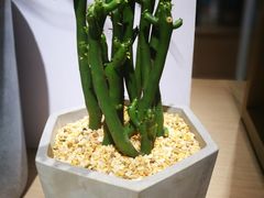 -杭州西湖银泰百货