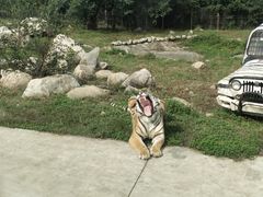 -西安秦岭野生动物园