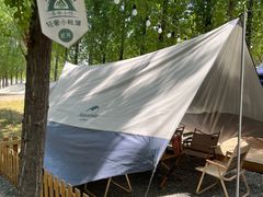-森林小栈TreeStation露营基地