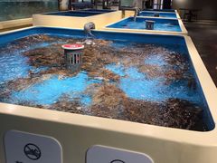 大堂-日进一片海.生腌海鲜火锅.宵夜烧烤(三里屯总店)