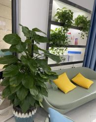 -蕾特恩专业祛痘·皮肤管理