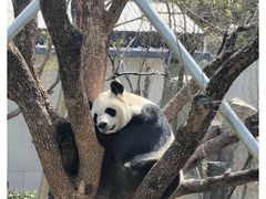 -无锡动物园·太湖欢乐园