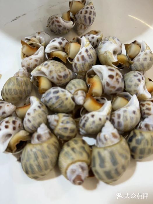 乐兴海鲜餐厅图片