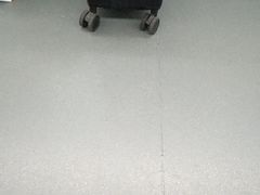 -华林禅寺