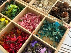 -星光耀广场(安吉路店)