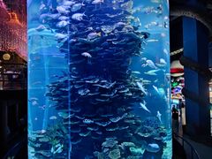-泉城欧乐堡海洋极地世界