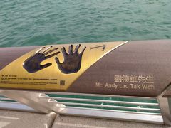 -星光大道
