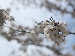 -苏州上方山国家森林公园