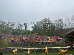 -欢乐松鼠谷