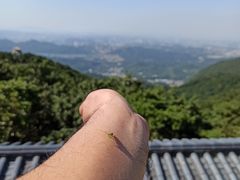 -梧桐山风景名胜区