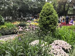 -汇龙潭