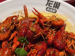 招牌十三香小龙虾-龙巢盱眙龙虾·牛蛙·烧烤宵夜(八卦岭店)