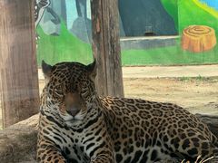 -济南野生动物世界