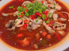 -成都娃娃花园餐厅 (南艺旗舰店)