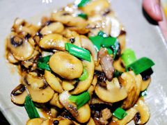 小炒口蘑-丰乐餐厅·始于1999·本地老字号