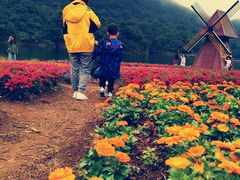 -广州市石门国家森林公园