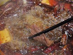 -金鼎雪山牦牛杂火锅(理县总店)