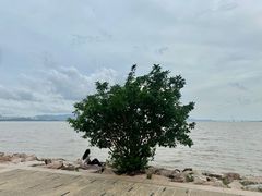 -深圳湾公园(南山区)