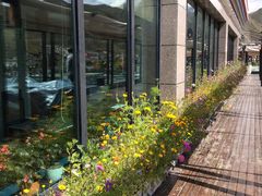 -玫瑰西餐厅.意面披萨.牛排咖啡