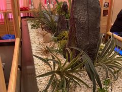-何师傅美蛙鱼头(汉街店)