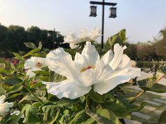 -幕燕滨江·长江观音景区
