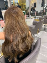 -潘多拉Hairsalon