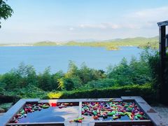 -天目湖涵田半山温泉