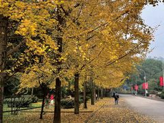 -西南交通大学(峨眉校区)