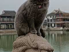 -锦溪古镇