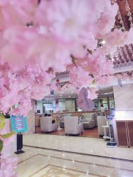 -重庆军美医疗美容医院