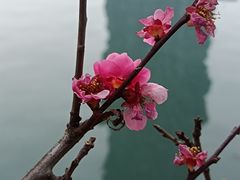 -望江楼公园